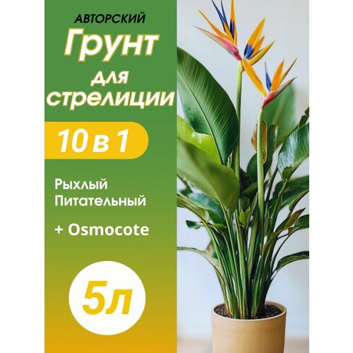 ���� ����� ��� ��������� 5� �������