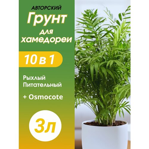 ���� ����� ��� ��������� 3� �������