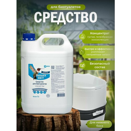 ���� �������� ��� ���������� ������ ��� 5 � ������ ���, ����������