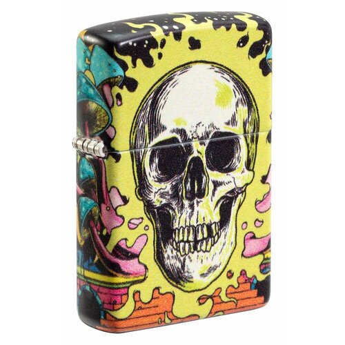     Zippo 48640 Skull Design  -     , -  