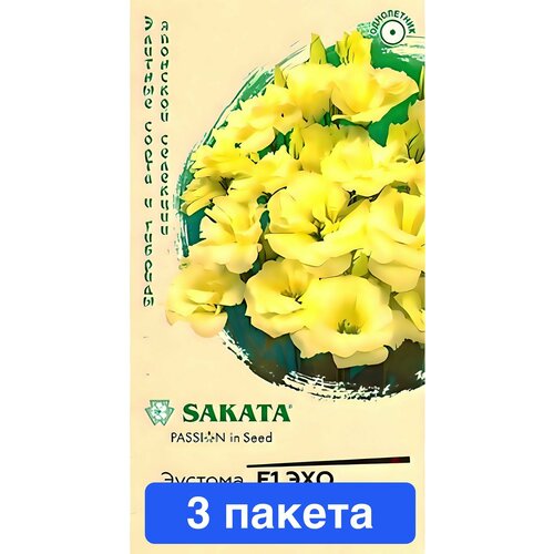 ���� ����� ������� ��� ������ F1 3 ������