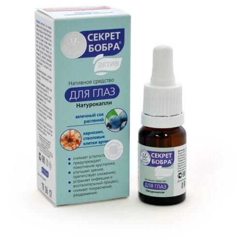 ���� ����� ������ ����� ����� 