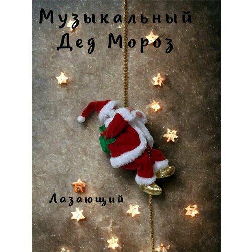 ���� ��� ����� ��������� �� ������� ����� ��� 2024 ������� �� ���� Berd