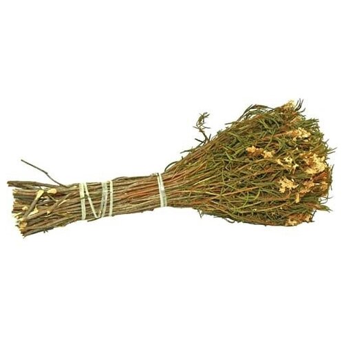 ���� ����� �� ����������