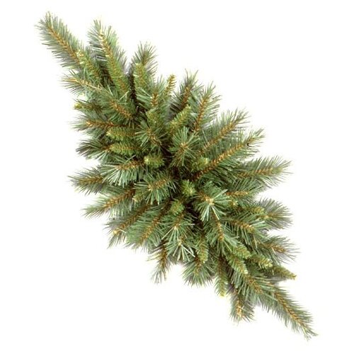   National Tree Company    76 ,  31TF30C  -     , -  