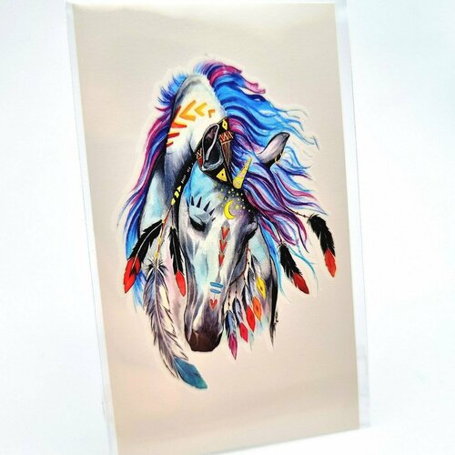 ���� ��������� ���������� ���������� �������� ��������, �����������, 1 ��. � ������, ���� 10.5�6��.