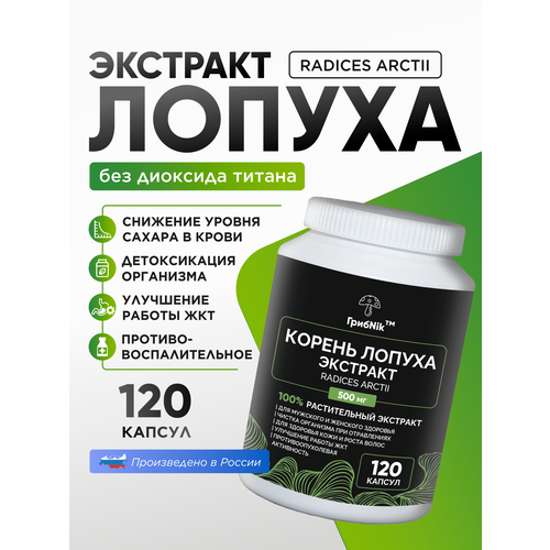 ���� ������ ������ ������� 120 �� �� 500 ��