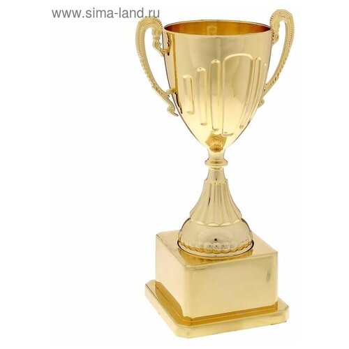 ���� ����� ���������� 092 ���� ���, 19,4 � 10,5 � 7,8 �� 1537055