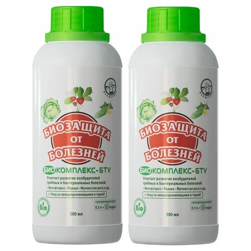 ���� ��������� ��������� ��������� �� �������� �����������-��� 2�� �� 500 ��