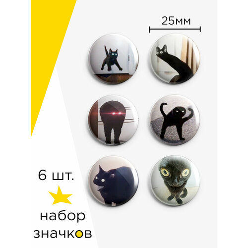 ���� ����� ������� ���� ׸���� ����, 6 ��, 25 ��