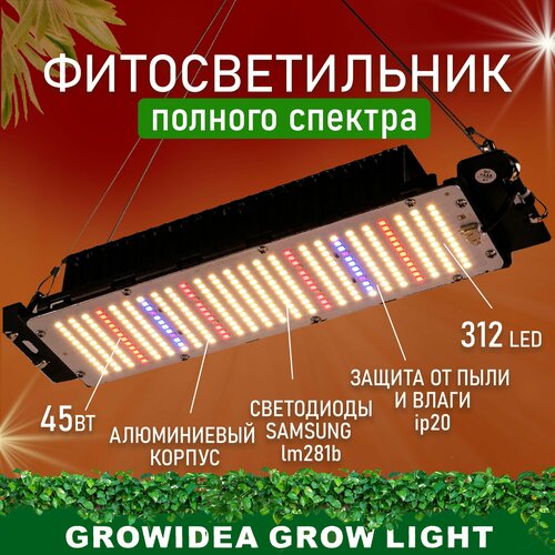        Led         -     , -,   