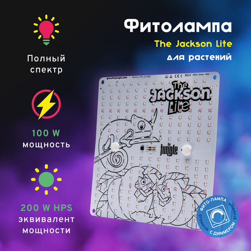   LED  The Jackson 100W Lite    -     , -,   