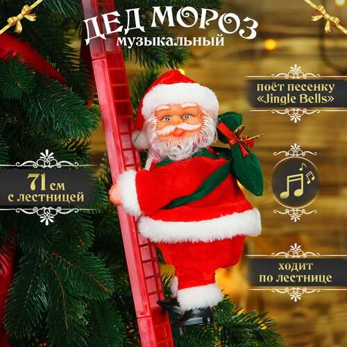 ���� ��� ����� �� �������� ����������� 71 ��, ���� ����� 