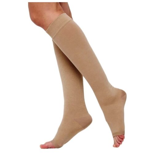 ���� ����� �������������� �� ������ � �������� ������ 2 ����� ����������, ��������, ������ 5