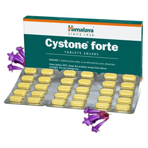      (Cystone Forte)    ,    , 60 .  -     , -  