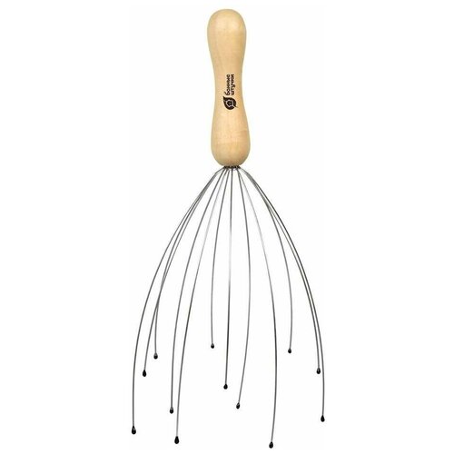 ���� �������� ��� ������ ������ ������ ����������, ������