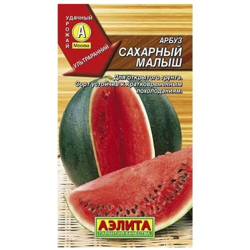 ���� ������ ����� 