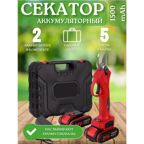 ���� ������ ������� ������� �������������� Wiekk 1 ���, ������������� �������� ��� ������� ��������