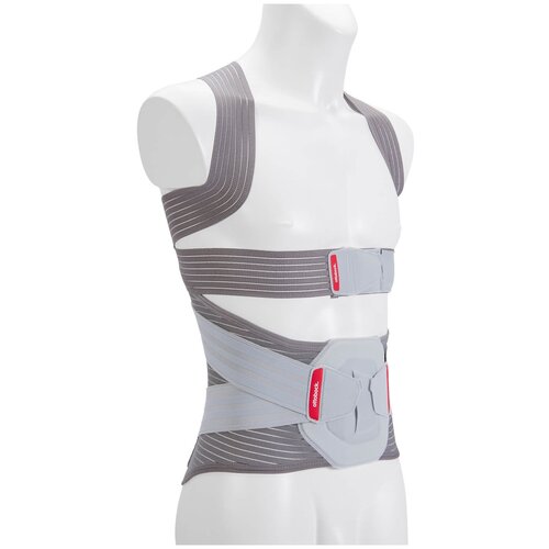 ���� ������ ottobock Dorso Direxa Posture 50R59, ������ 2XL, ������ 45 ��, �����