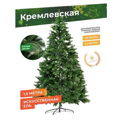 ���� ���� ����� ������������� 