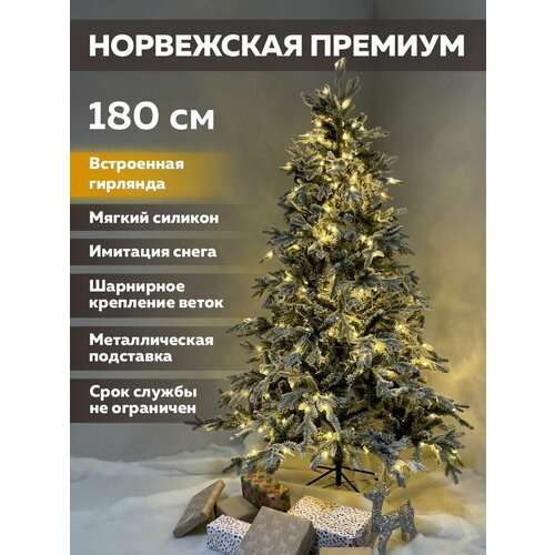 ���� ���� ������������� �� ������ � ���������