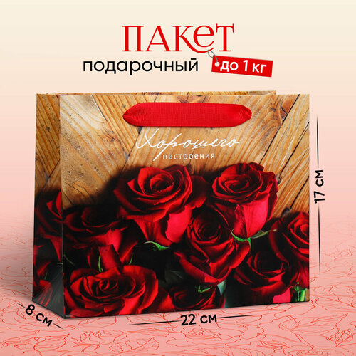 ���� ����� ���������� ��������� �����������, 22 ? 17.5 ? 8 ��