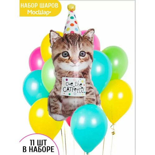 ���� ����� ������� �� ���� ��������