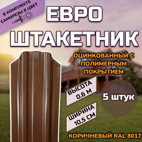 ���� ��������� ������������� �������� (������, ����������) 5 ����(������ � ���������)������������� �����, ���� RAL 8017 ����������, ������ 0.6 �, ������ ������ 105��)�����