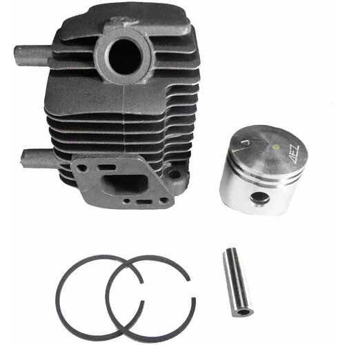 ���� ��������� ������ ECHO SRM 22