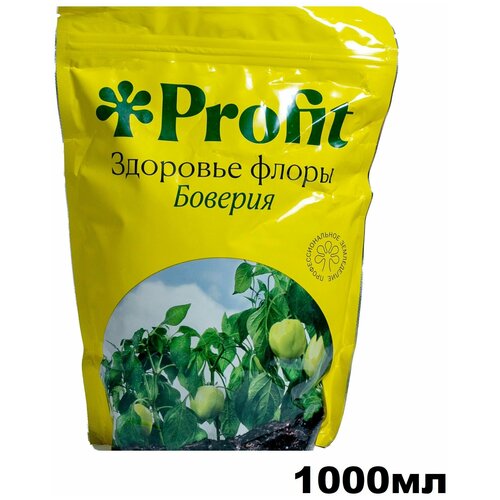   Profit  1000    -     , -,   