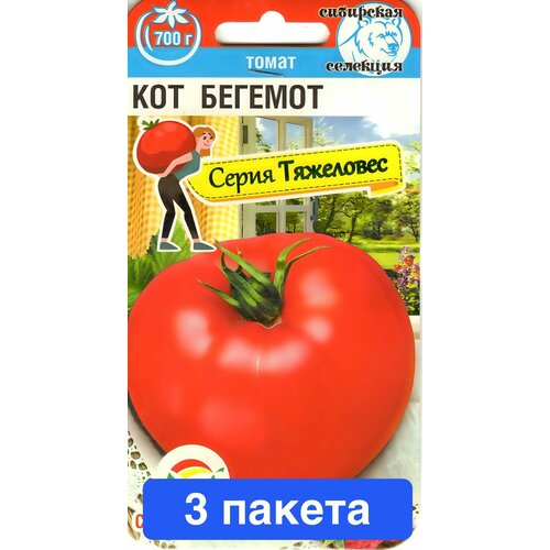 ���� ������ ������ ��������� ��� 