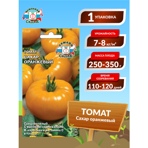 ���� ����� 