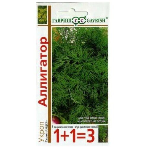 ���� ����� ���������, ������ ������ ����� 1+1 4�