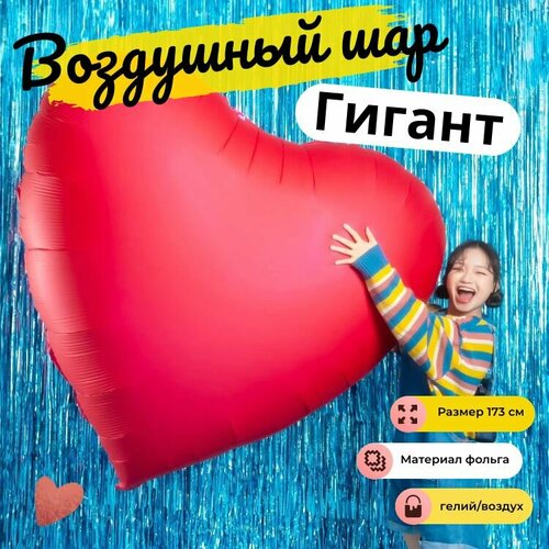 ���� ��������� ���, ������ �����, ������ 173�� ������ ������� �����