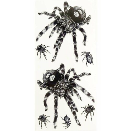 ���� ����� ��������� ���������� ������ ����� (�����) �����������, 7��. � ������, ���� 19�9��.