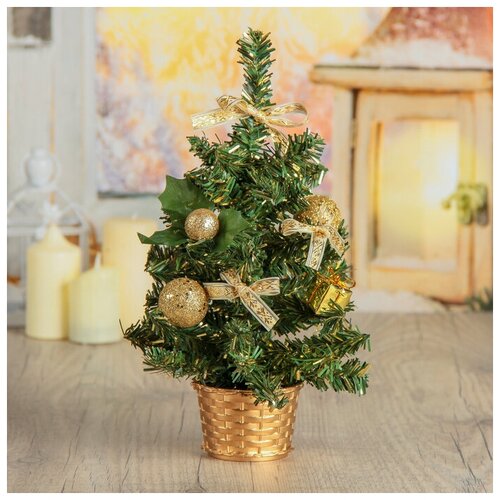 ���� ��� ������������� ������ ���������� ����� ������� ������, 25 ��