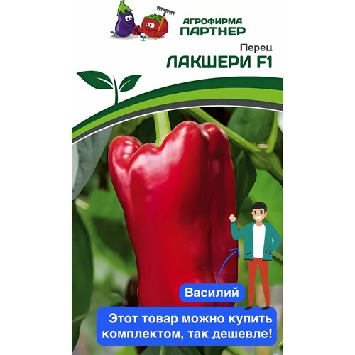 ���� ������ ������ ��������� ������� 