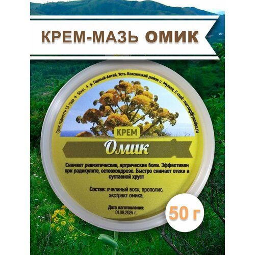 ���� ����-���� ����, 50 � �����, �� ������� �. �.