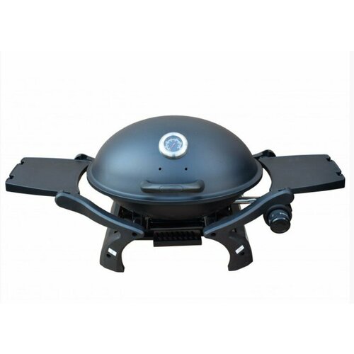 ���� ����� ������� SM-12