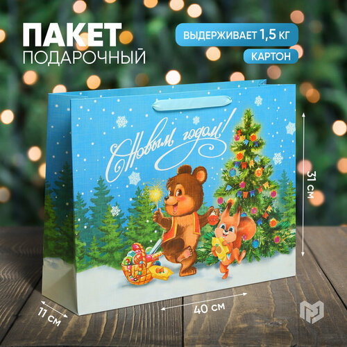 ���� ����� ���������� �������� ����� ����, L 40 � 31 � 11,5 ��, ����� ���