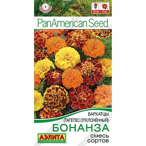 ���� ������ �������� �������, ����� ������, ����������, (������) 7�� PanAmerican