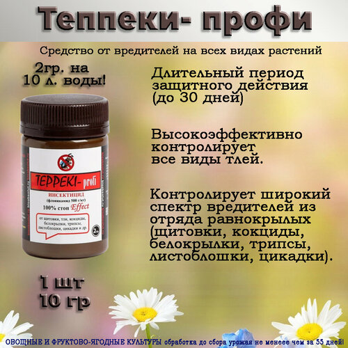 ���� ������� 1 ��