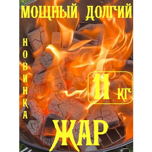 ���� ����� � �������� 11 ��, ������, � �������.