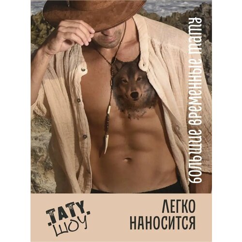 ���� ���� �������� ����