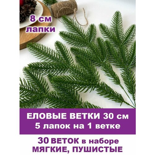 ���� ������ ����� �������������, ����� ������, ��������������, 5 ����� �� ����� 30 ��, ����� 30 �����. �������