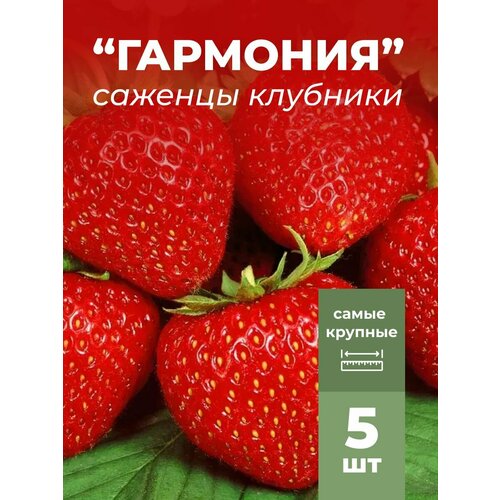 ���� �������� ����� ������������� ��������, �������/��������� �������� 5 ��