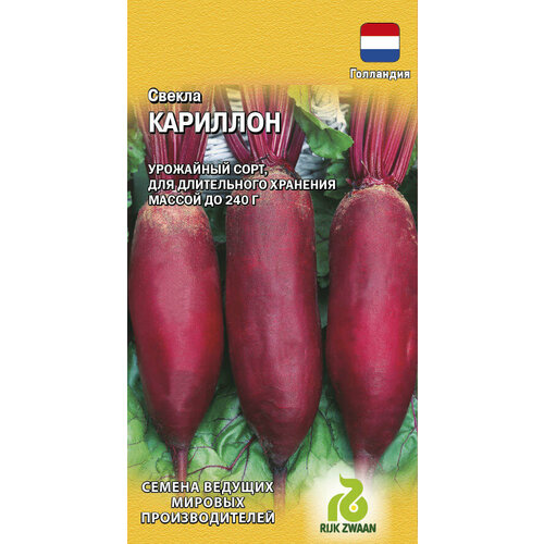 ���� ������ ������ �������� 1� (������)