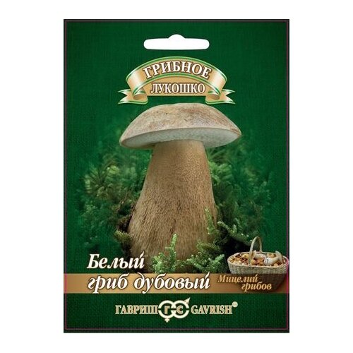 ���� ������ ������� ������� ����� ���� ������� �� �������� ��������� 15 ��