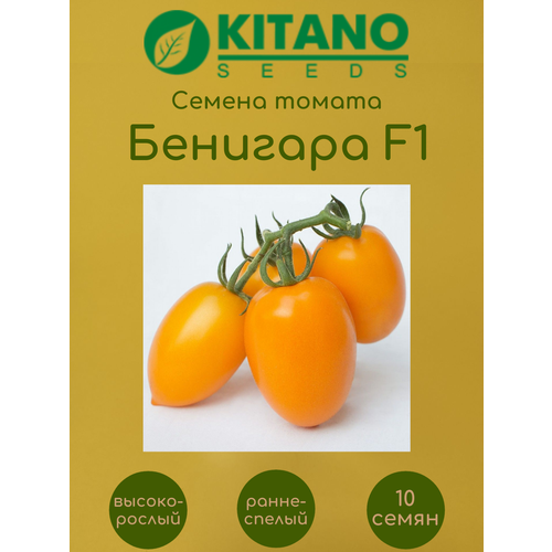     (KS 1430) F1 10   -     , -,   