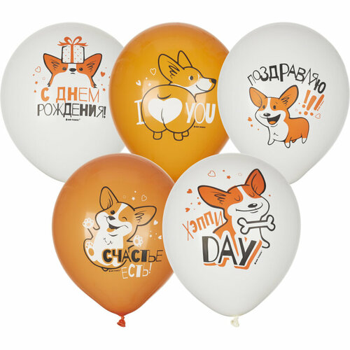 ���� ��������� ���� ���� ��� White&Orange ����� 30��, 5��.